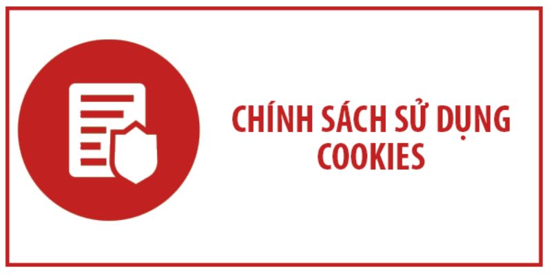 Cách hệ thống dùng cookie theo chính sách bảo mật